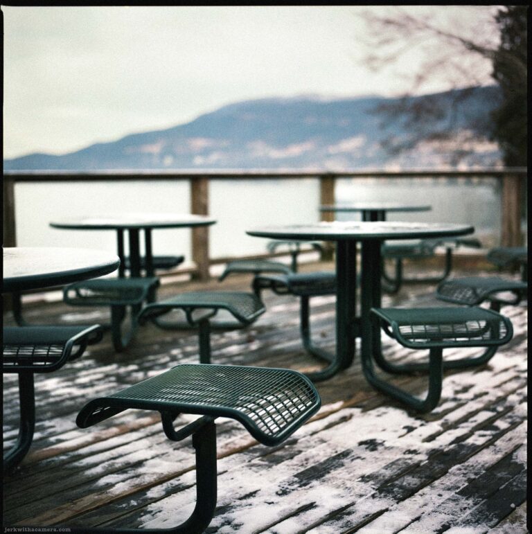 Stanley Park With The Hasselblad 500 C/M and Expired Fuji NPC 160