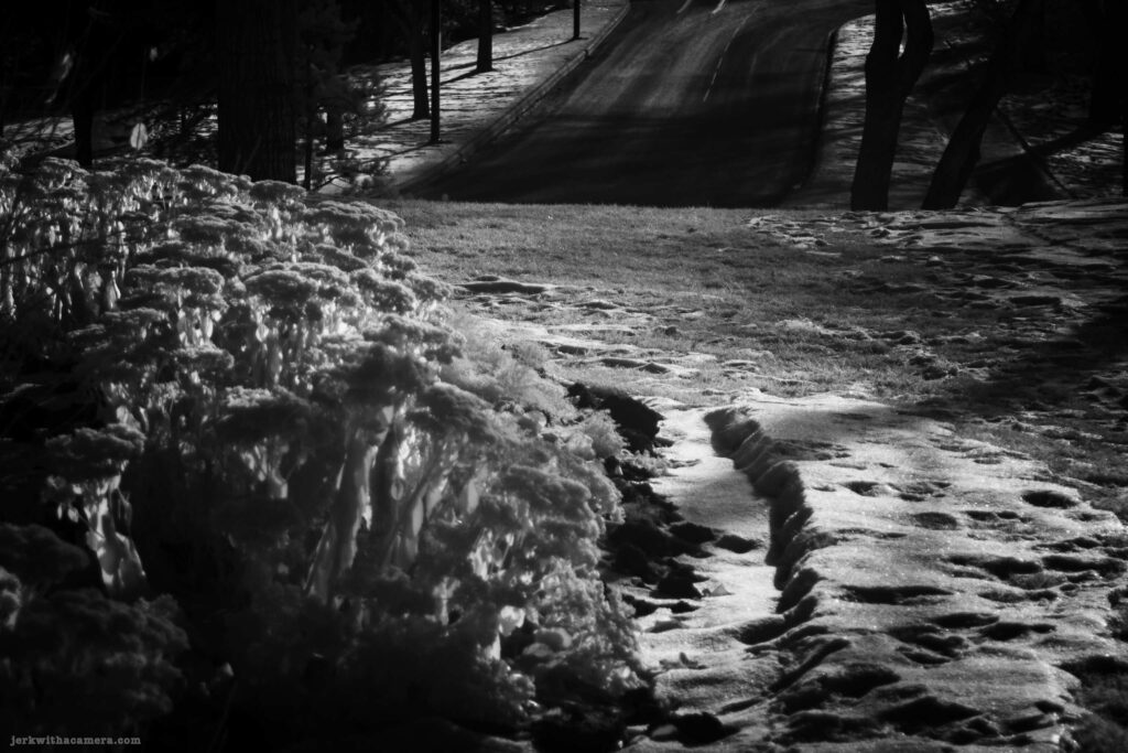 Snow-covered ground and plants beside a road in black and white