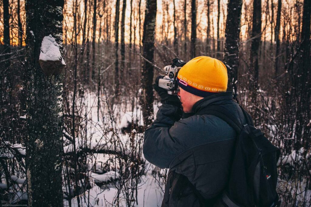 Person wearing winter clothing photographing trees in a snowy forest