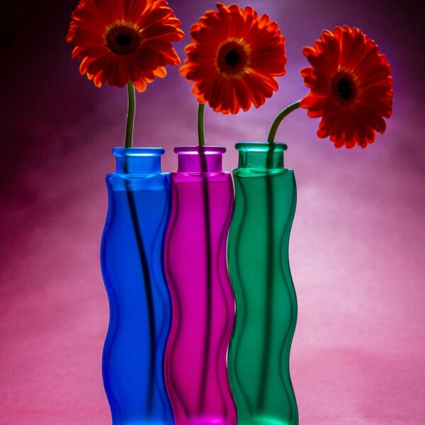 Flowers In the studio