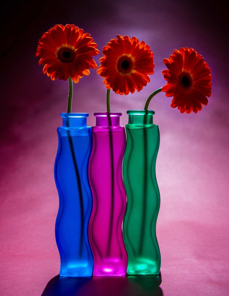 Flowers In the studio