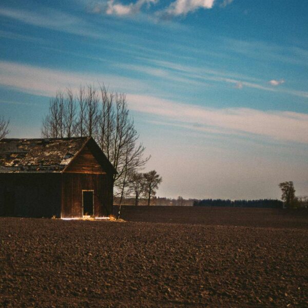 PhotoFriday