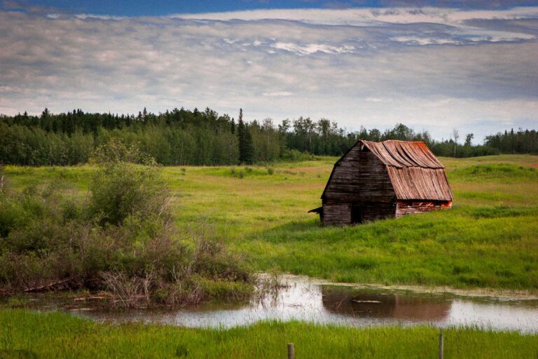 Country Drive