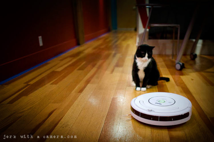 roomba-030