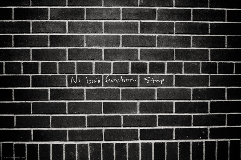 Brick wall with handwritten graffiti reading No brain function stop.
