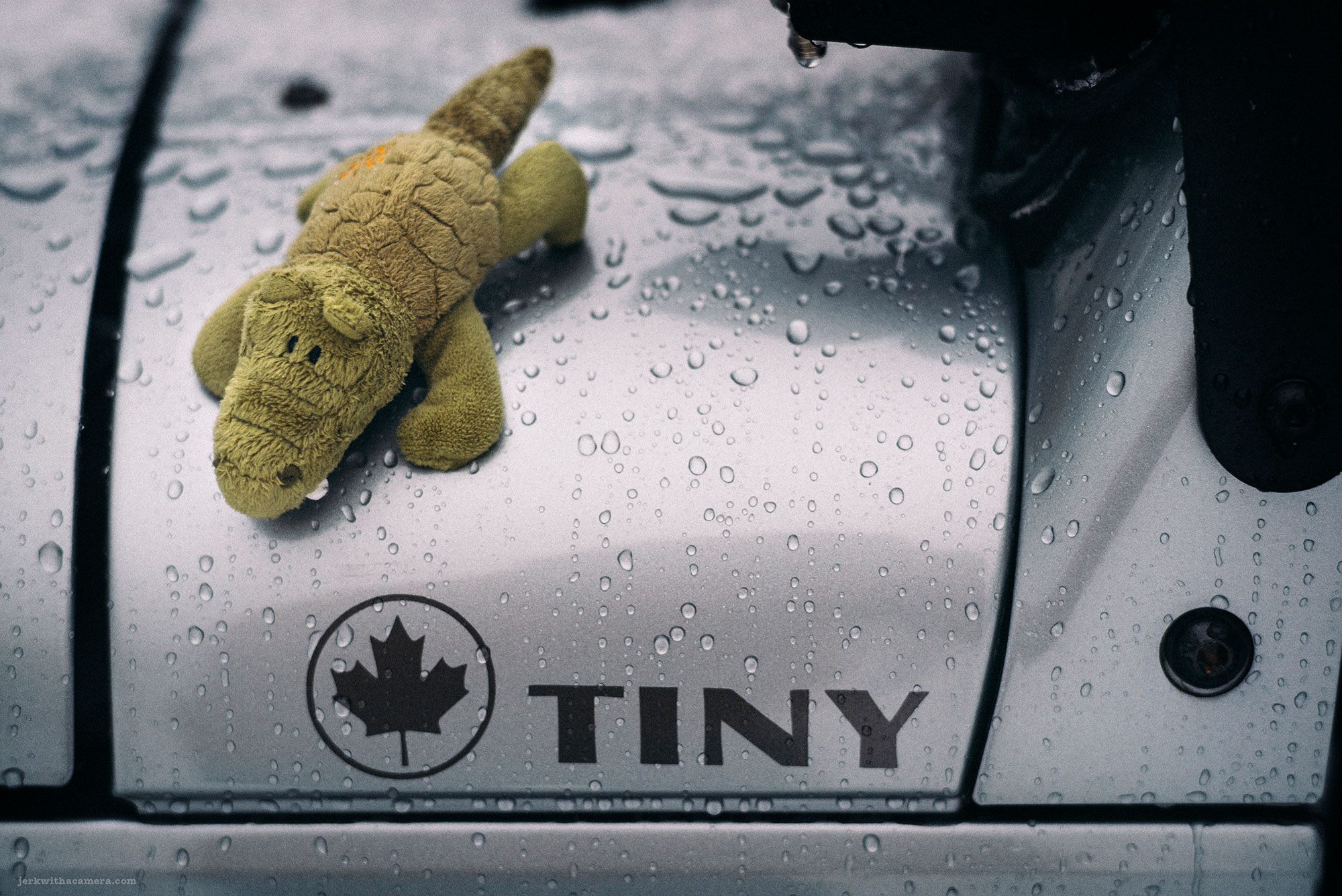 Tiny has a mascot!