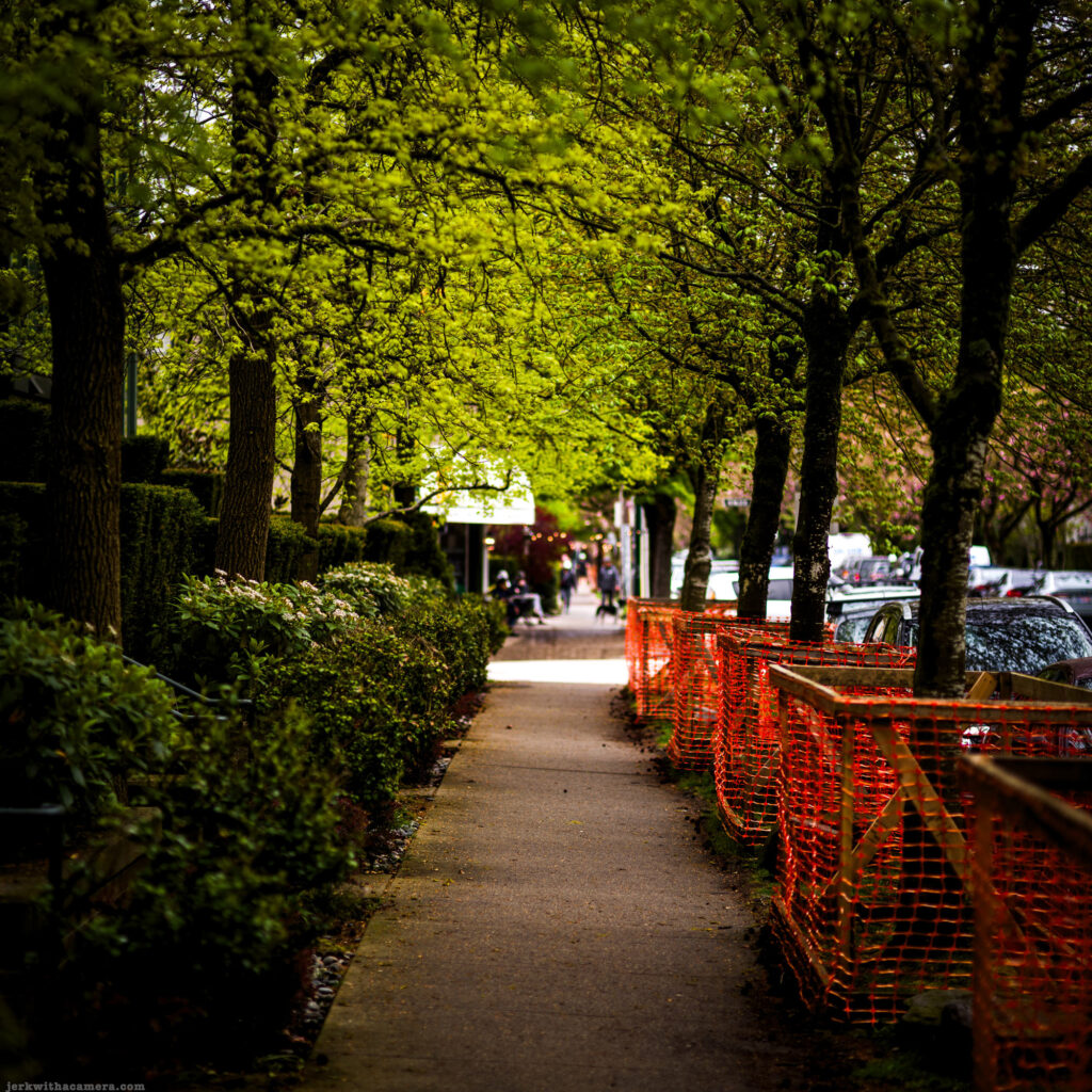Sidewalk lined with trees and orange construction fencing Camera: Leica M11-D
Lens: Leica M Summilux 75mm f/1.4