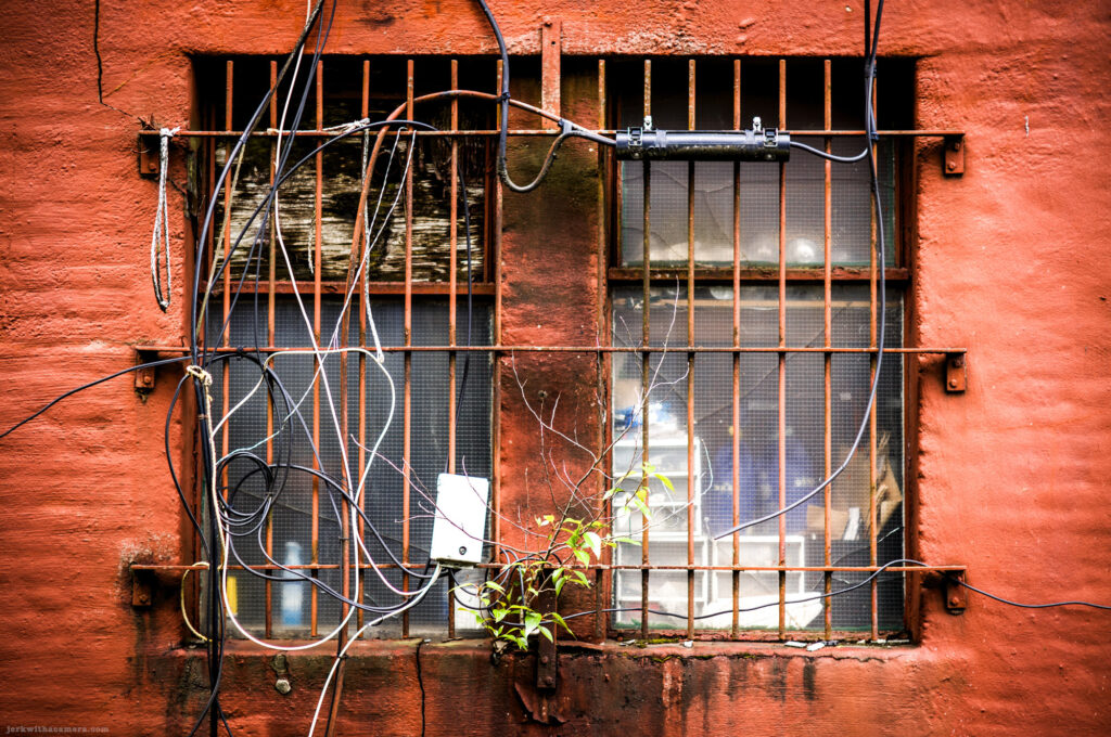 Barred window with tangled wires and a plant growing below