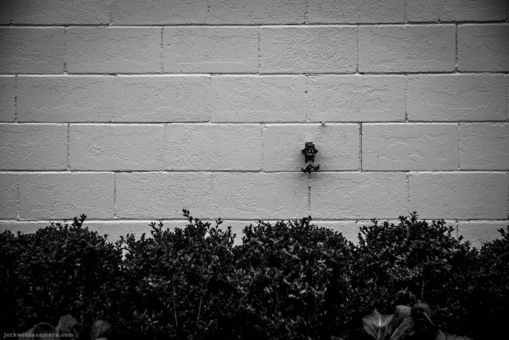 Brick wall with a single outdoor faucet above a row of low bushes