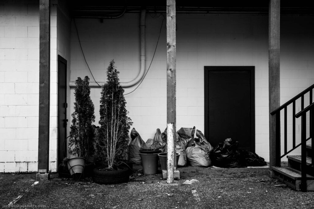 Back entrance with two potted trees, garbage bags, and a staircase railing