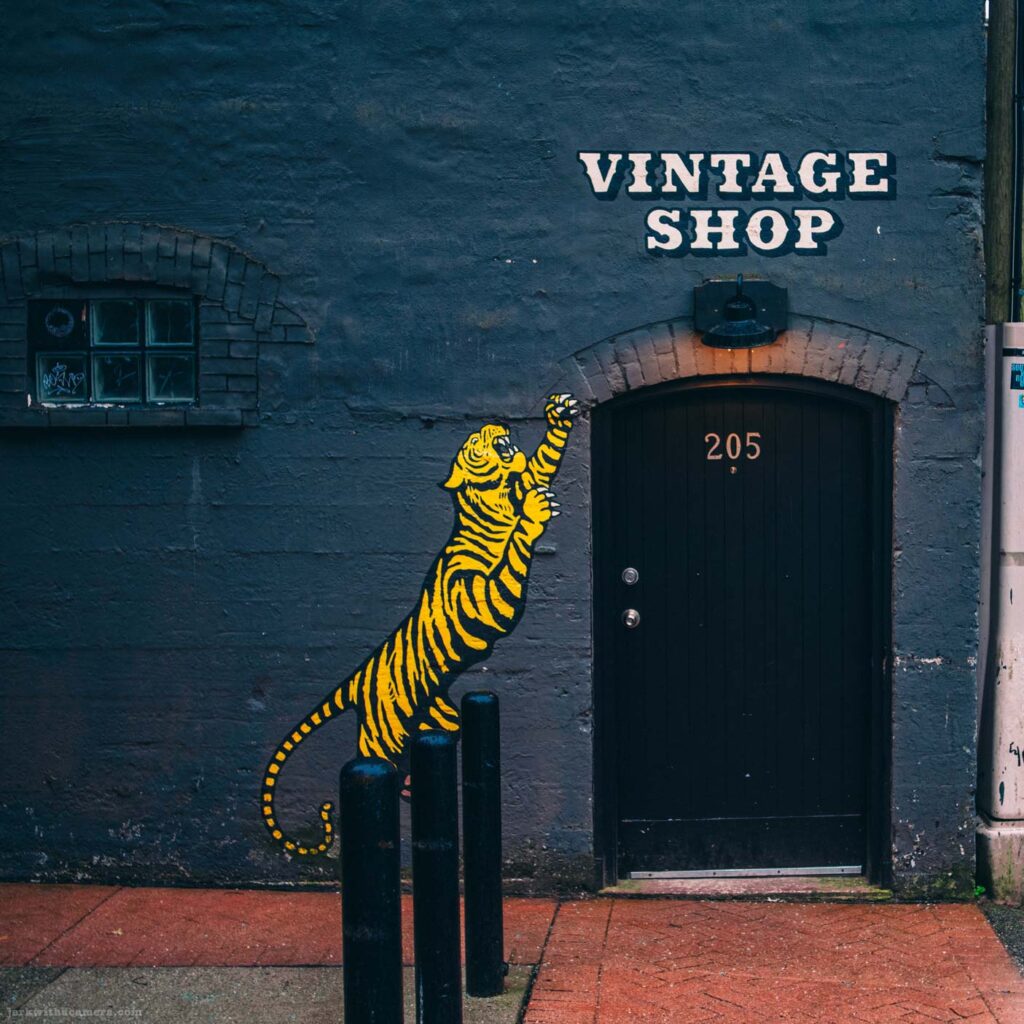 Tiger mural beside black doorway under vintage shop sign