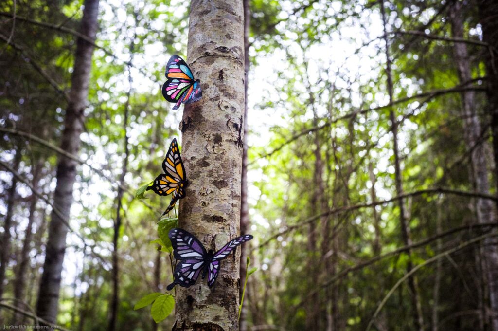 Three colorful plastic butterfly ornaments on pale birch tree trunk, top butterfly multi-colored orange and teal, center orange and brown monarch-style, bottom purple and white, green foliage at lower left, forest in soft focus background.