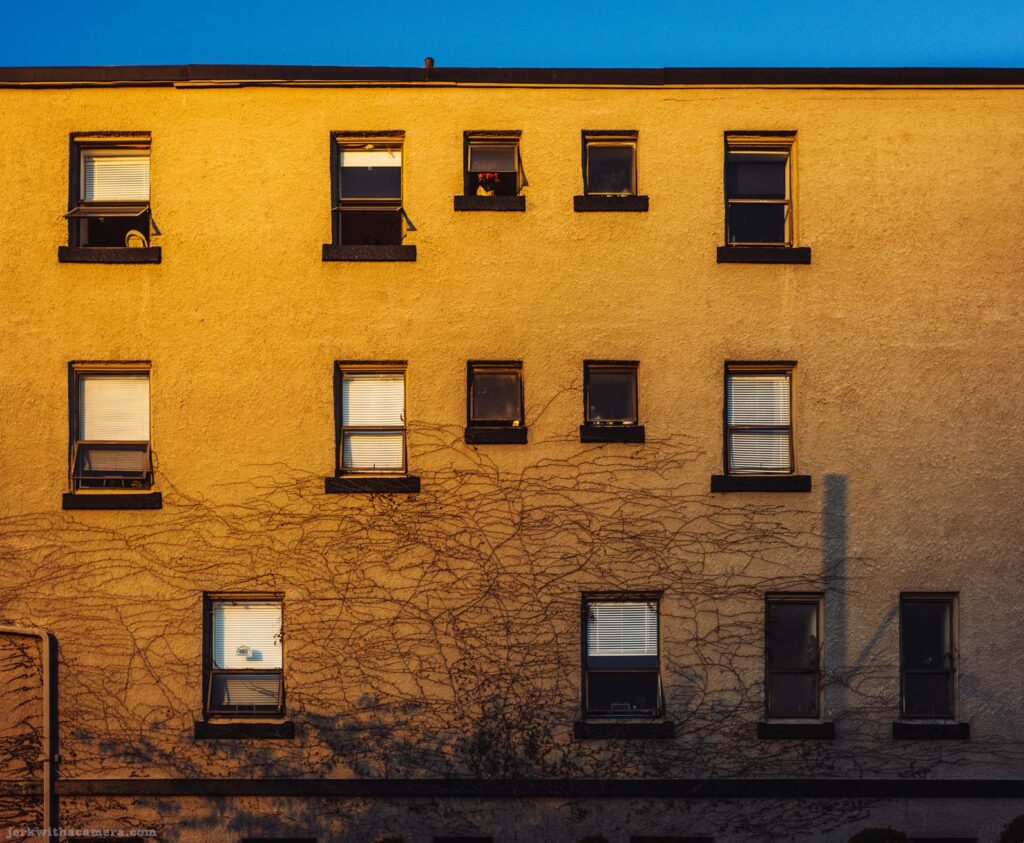 Pale stucco apartment building side wall with rows of windows and bare vine tracery. Lowest framing of the three.