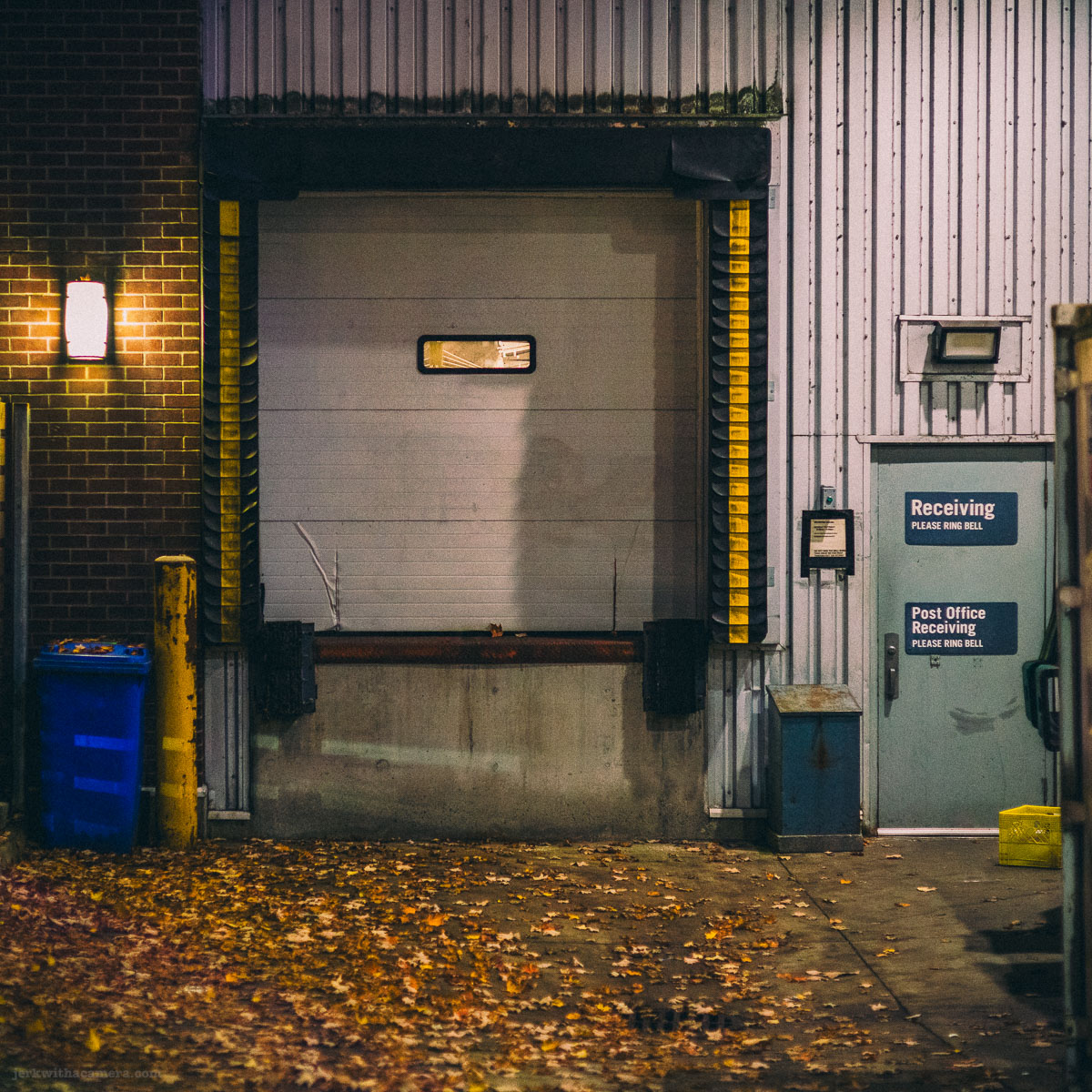 A closed overhead dock door with a small window sits between brick walls, with a receiving door, wall lamp and leaf-covered pavement in front.