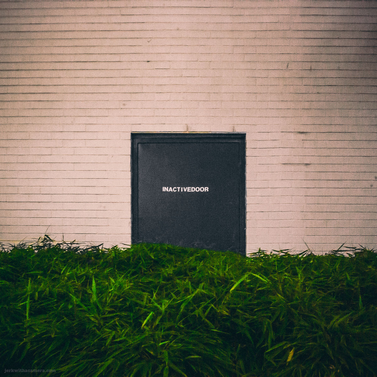 A dark metal door marked Inactive Door sits in a white painted brick wall above a dense bed of green shrubs.